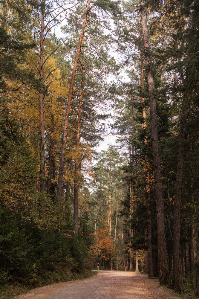 Photograph by Stas Bris