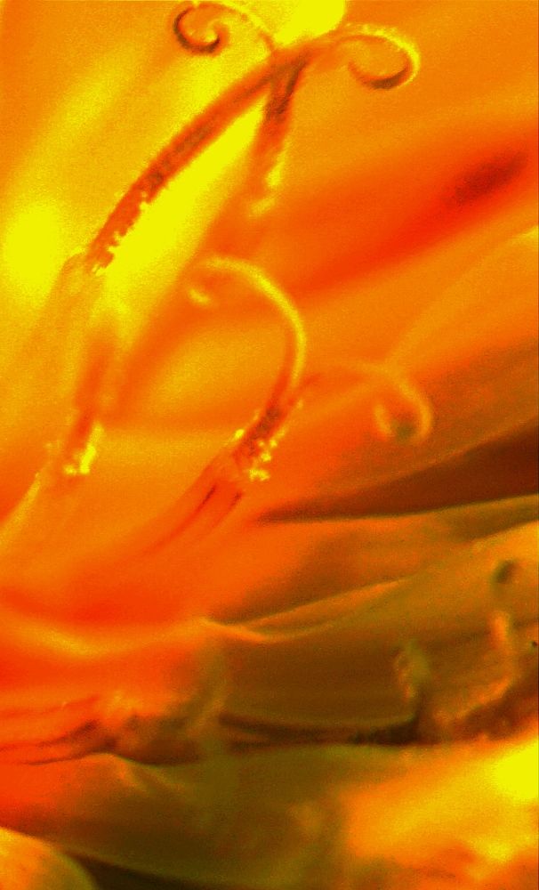 Photograph by Божидар Атанасов