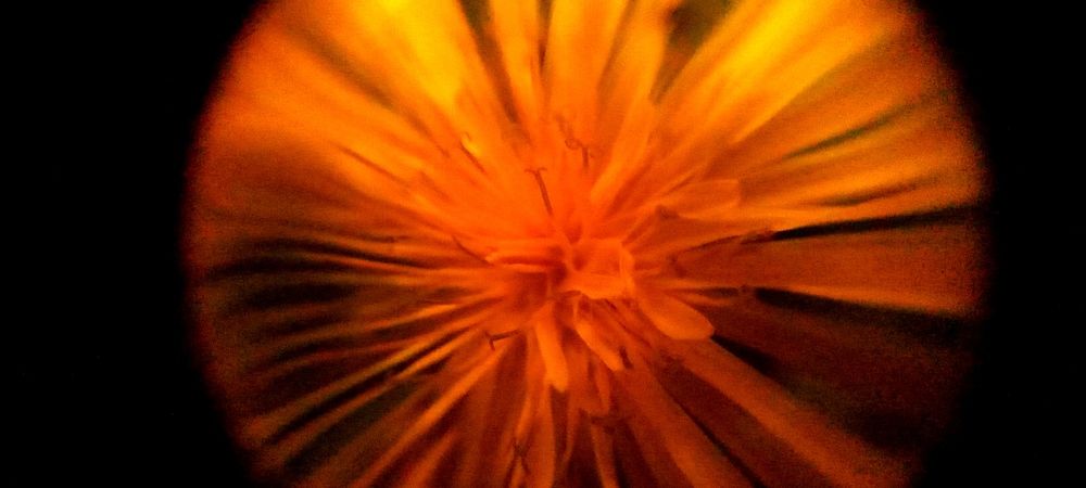 Photograph by Божидар Атанасов