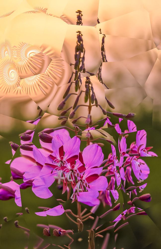 Photograph by Mikhail Markhinin