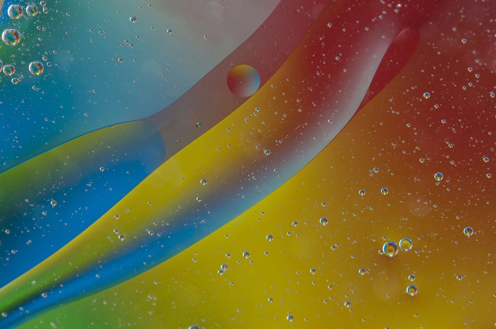 Photograph by Chamara Sulakkhana Polwatta Siriyalage