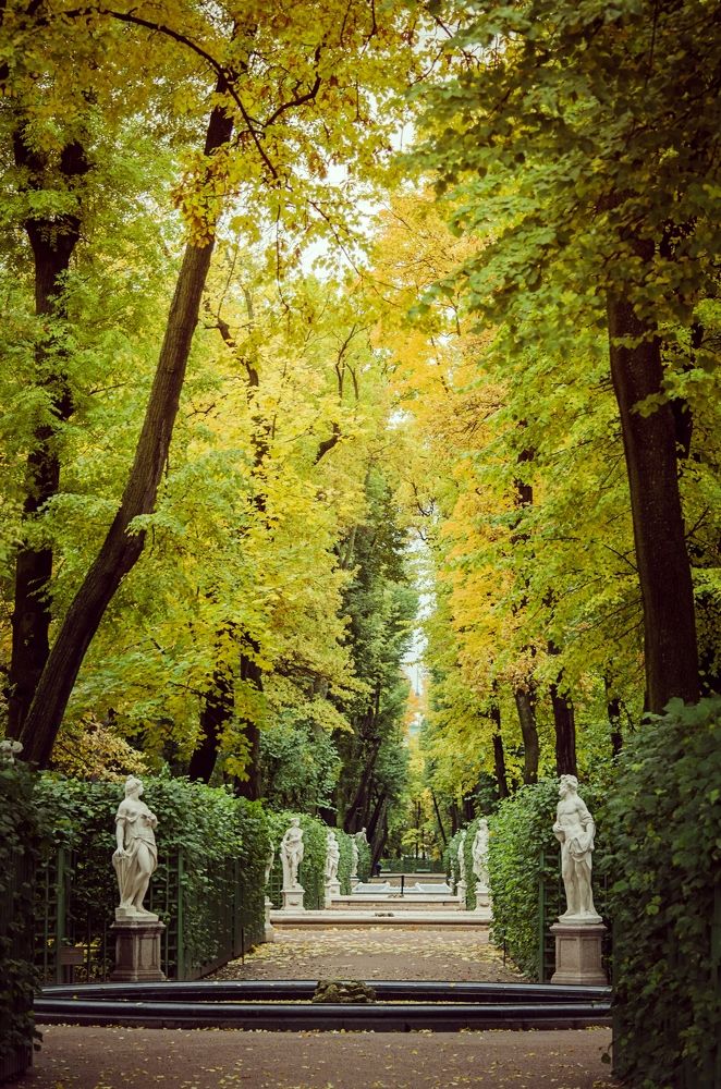 Photograph by Сафронова Любовь