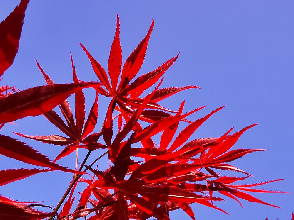 Photograph by Oleg Guchgeldiev