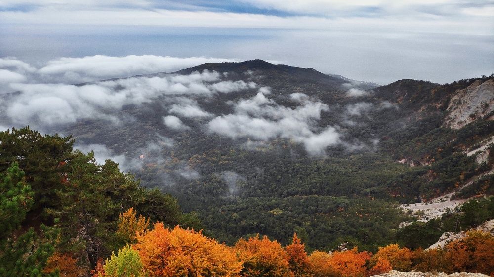 Photograph by Елена Душко