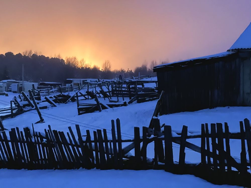 Туман и фонари