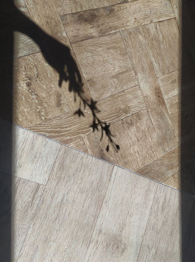 Photograph by Яна Кисловская