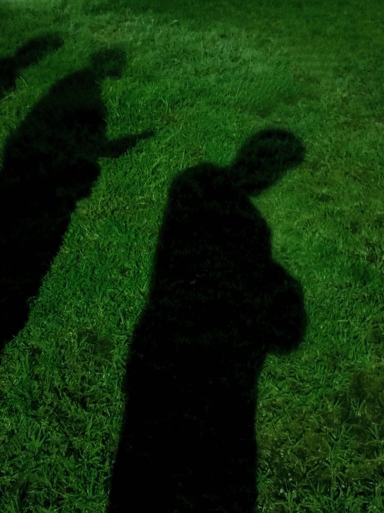 Photograph by Магомед-Салях Джамалдаев