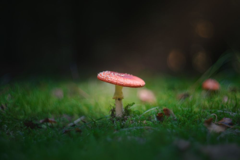 Photograph by  Михаил