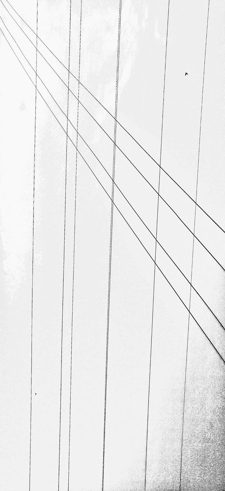 Photograph by Nazar Edapal