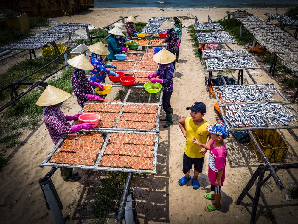 Photograph by Hoài Ân Đỗ Trọng