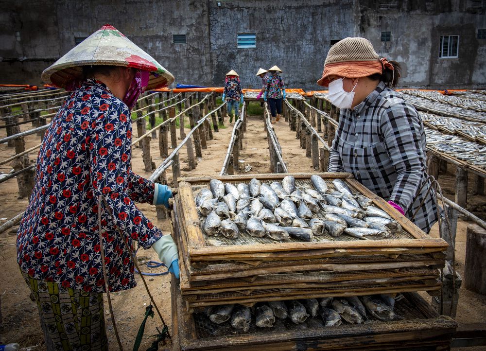 Photograph by Hoài Ân Đỗ Trọng