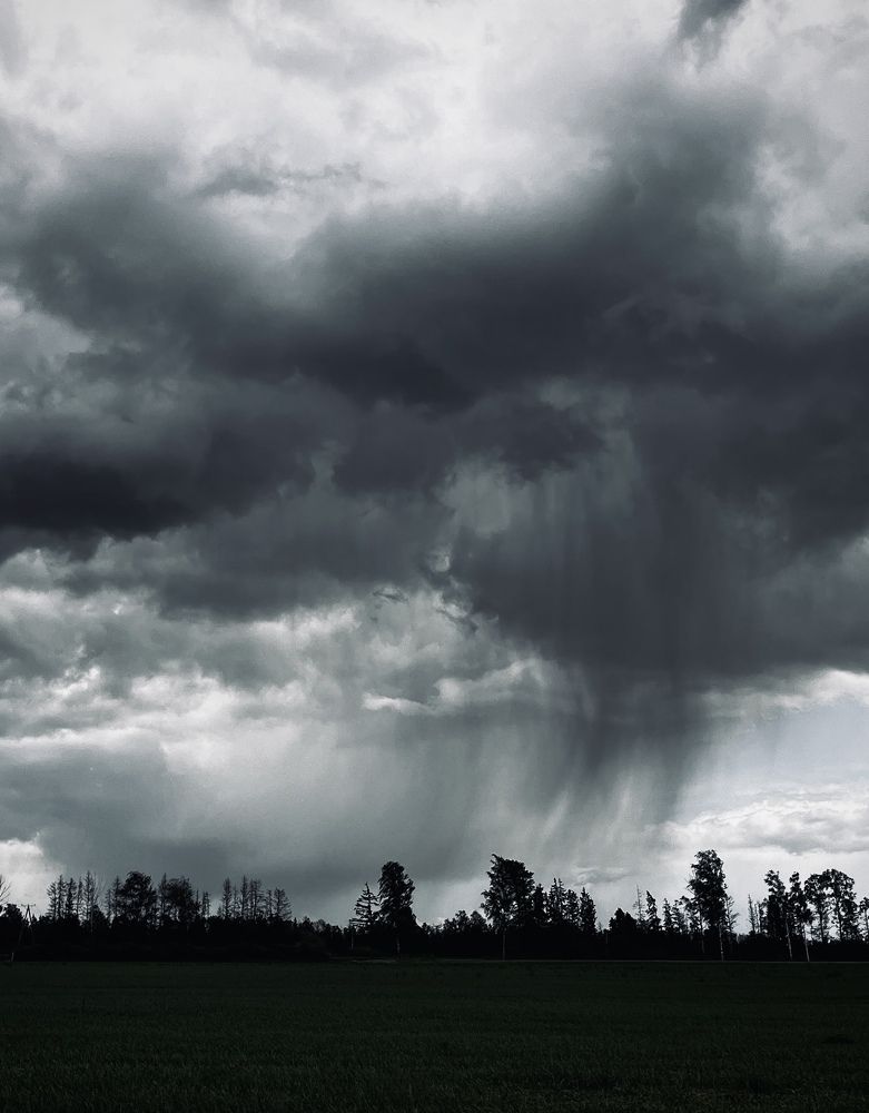 Photograph by Daniel Saikovsky