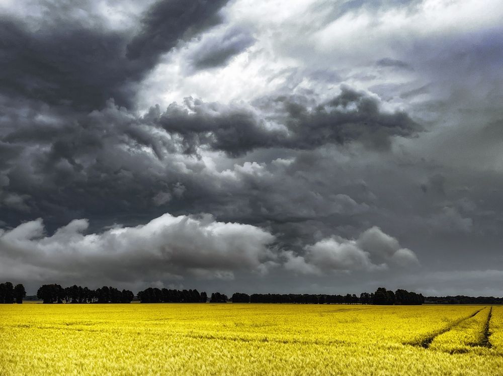 Photograph by Daniel Saikovsky