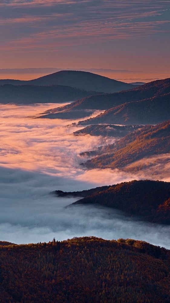 Photograph by Jan Musil