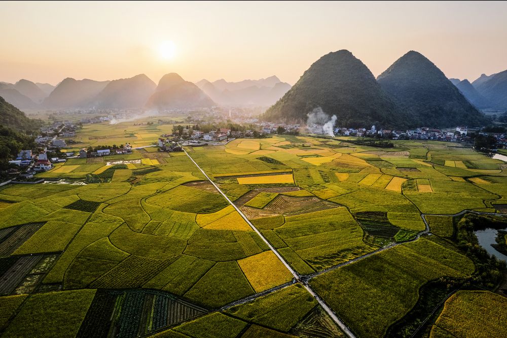 Photograph by Lạc Cơ