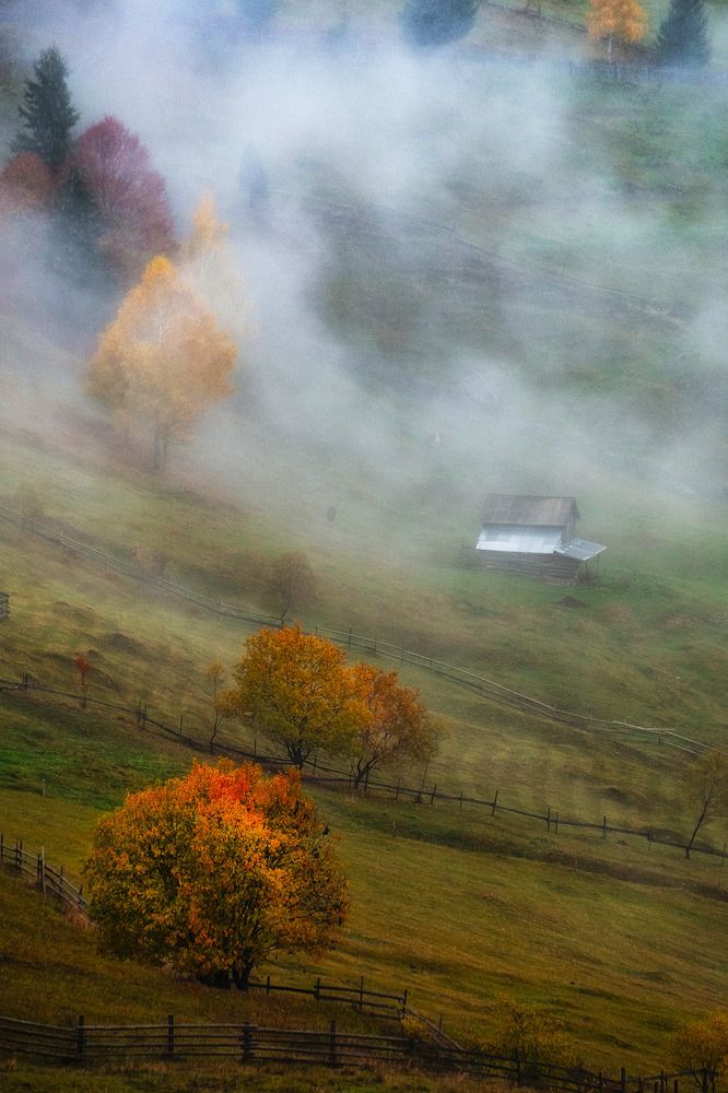 Фотография автора Popescu Cezar Gabriel