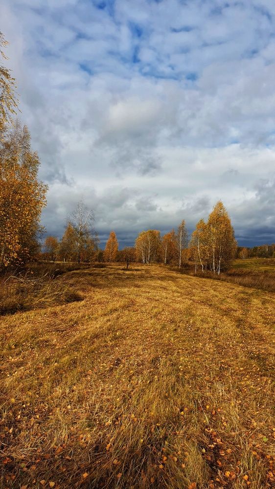 Photograph by Михаил Беляев