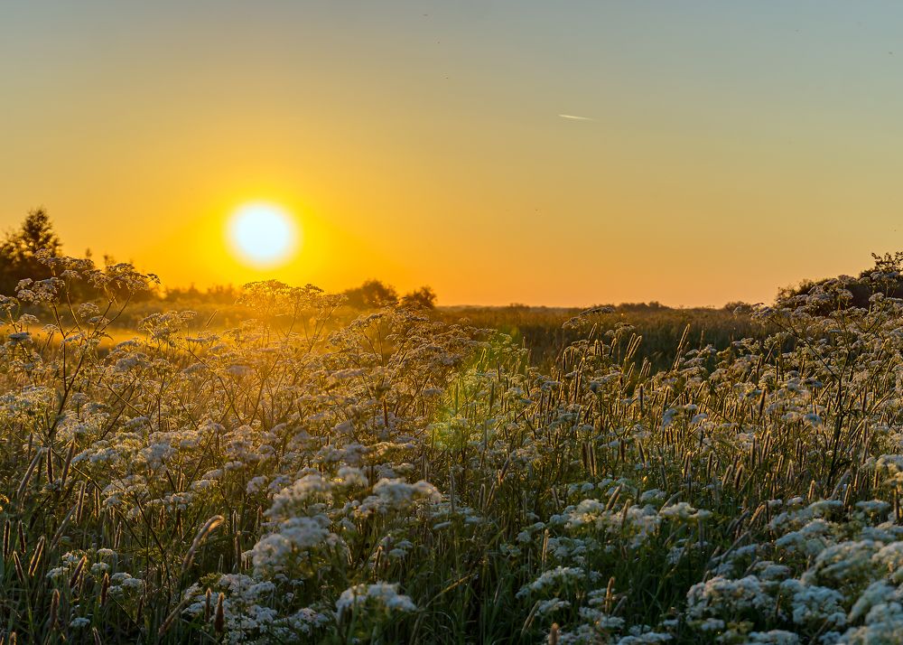 Photograph by Сергей Брызгалов