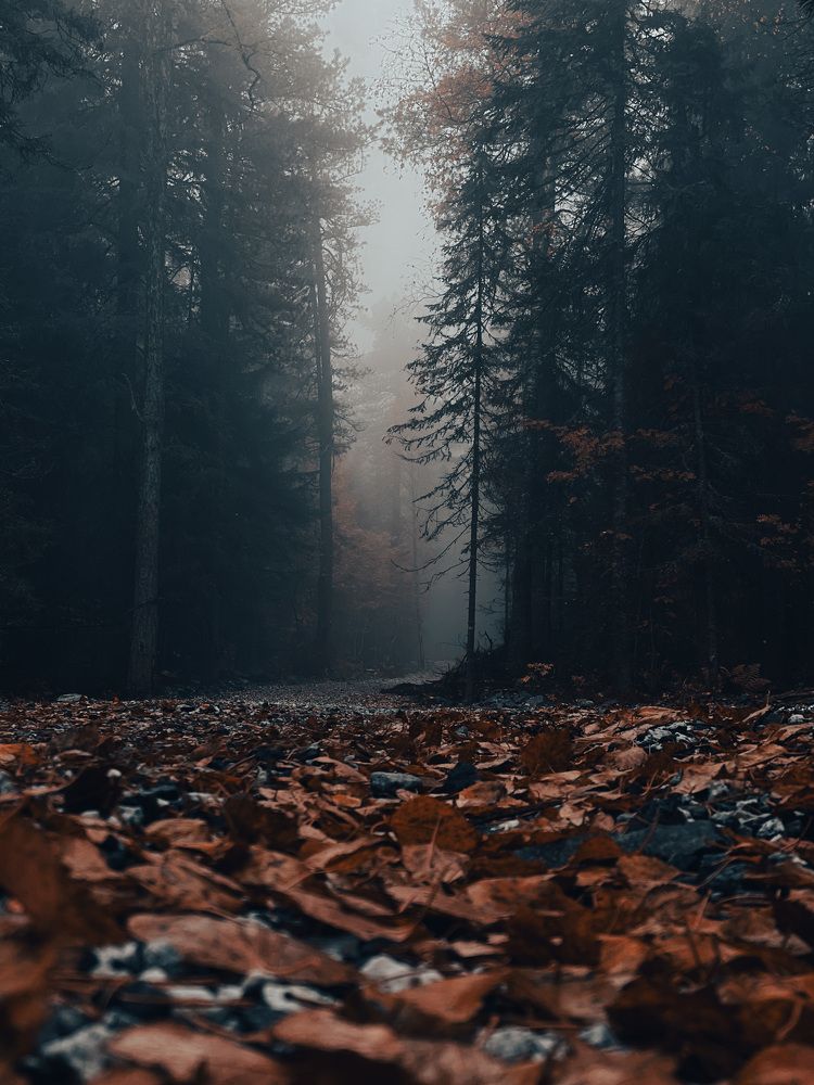 Photograph by Данил Мелинг