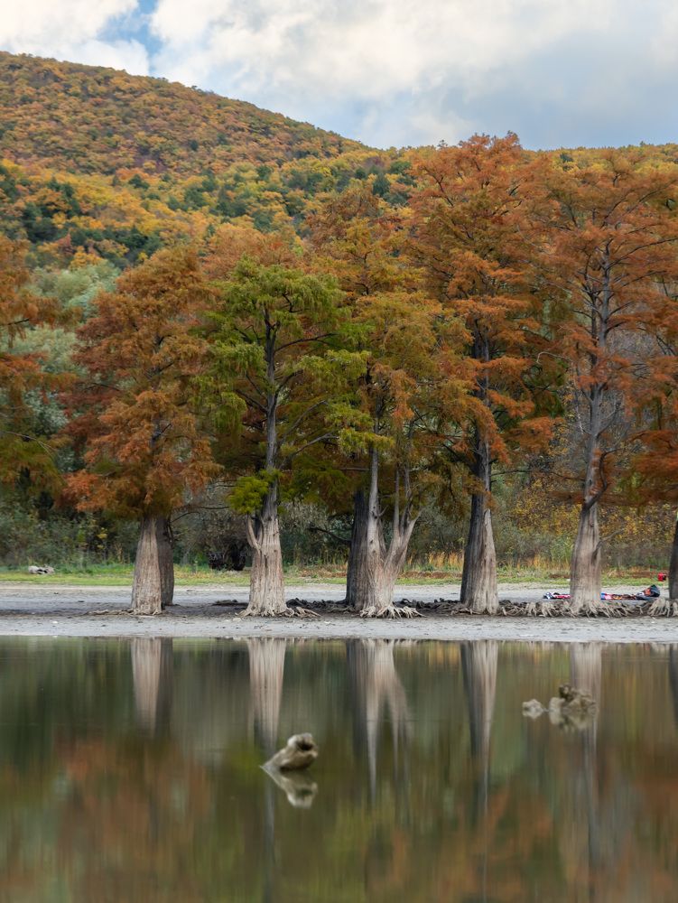 Photograph by Роман Красношапка