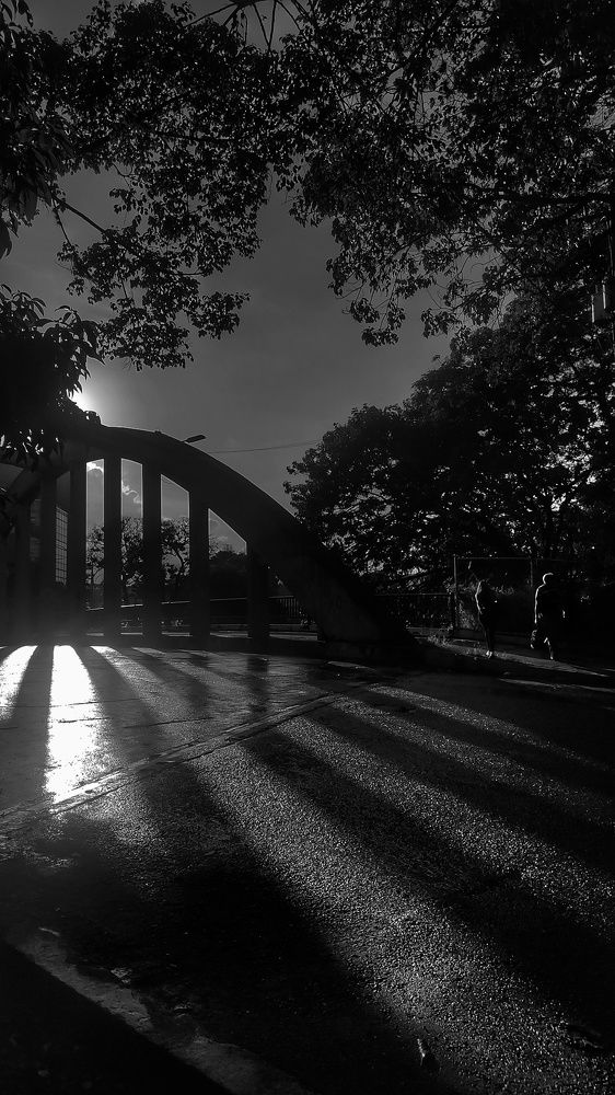 Photograph by nileydi Colmenarez