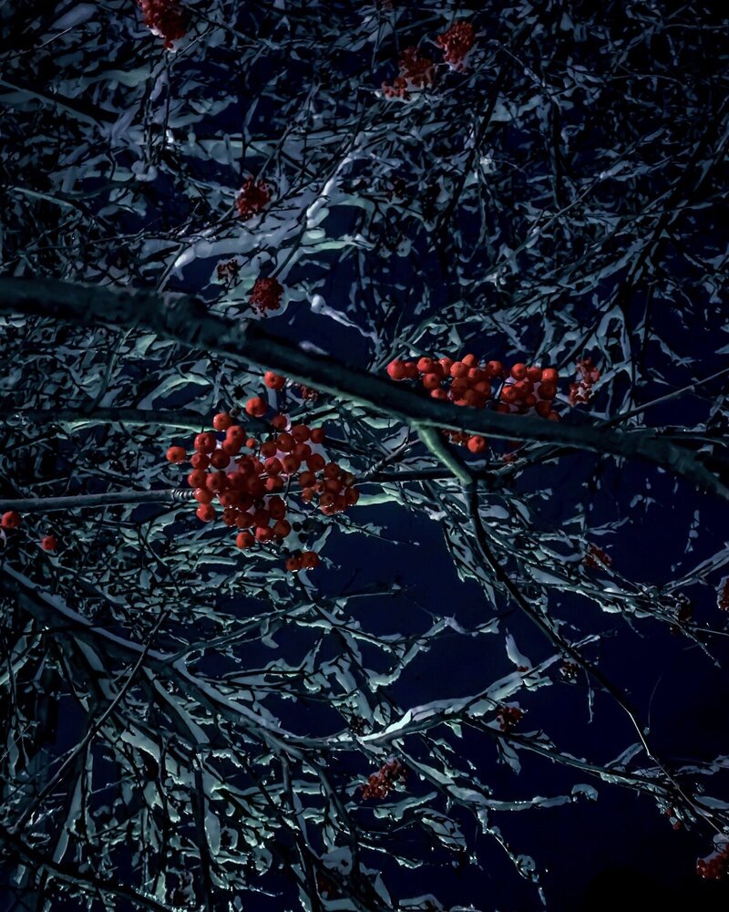 Photograph by Наталья