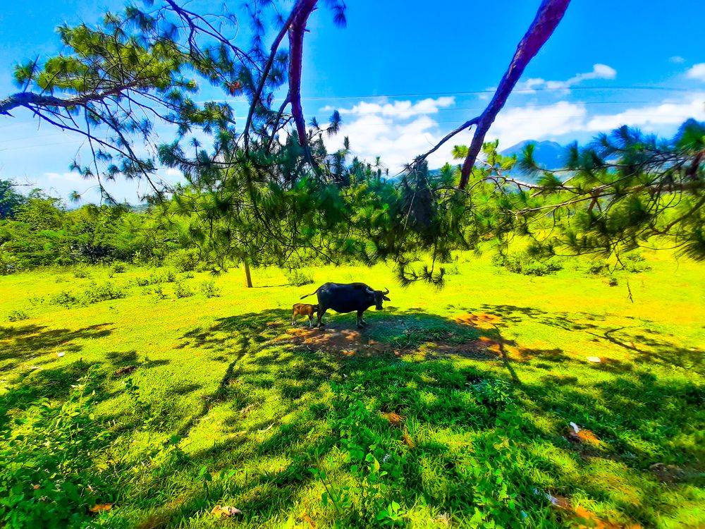 Photograph by Andrew Altarejos