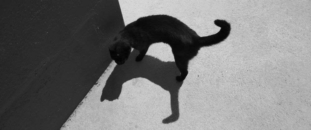 Photograph by Andrew Becker