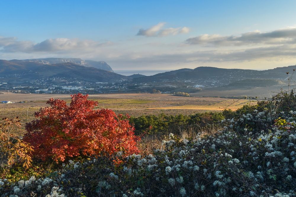 Photograph by Игорь Кузьмин