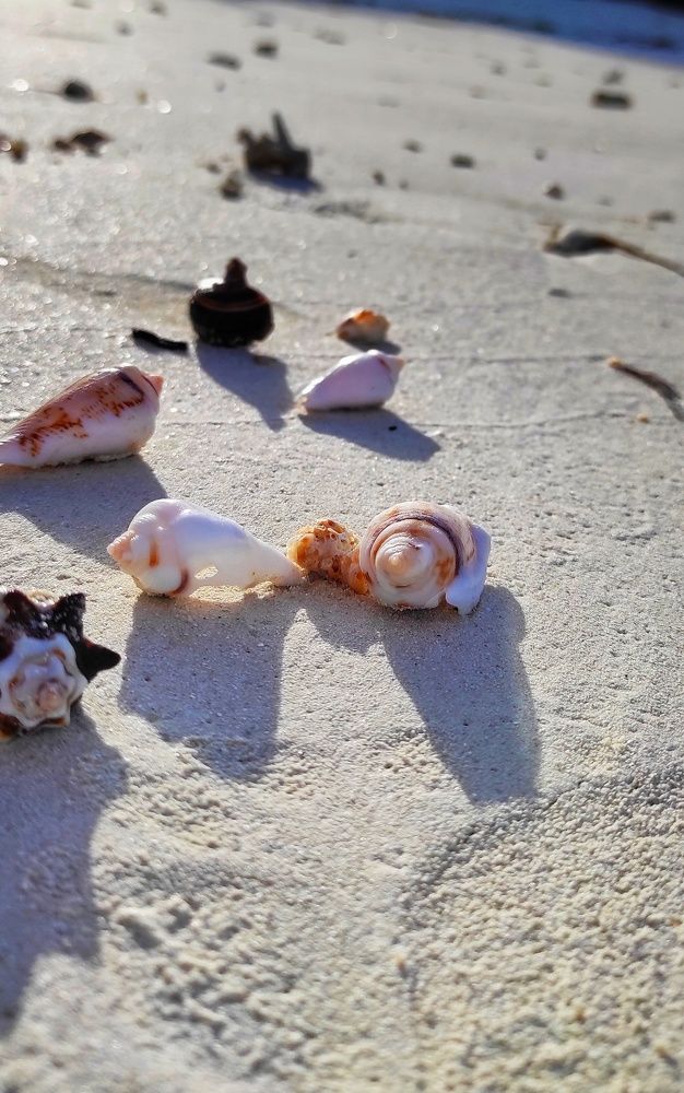 Photograph by Наталья Рау