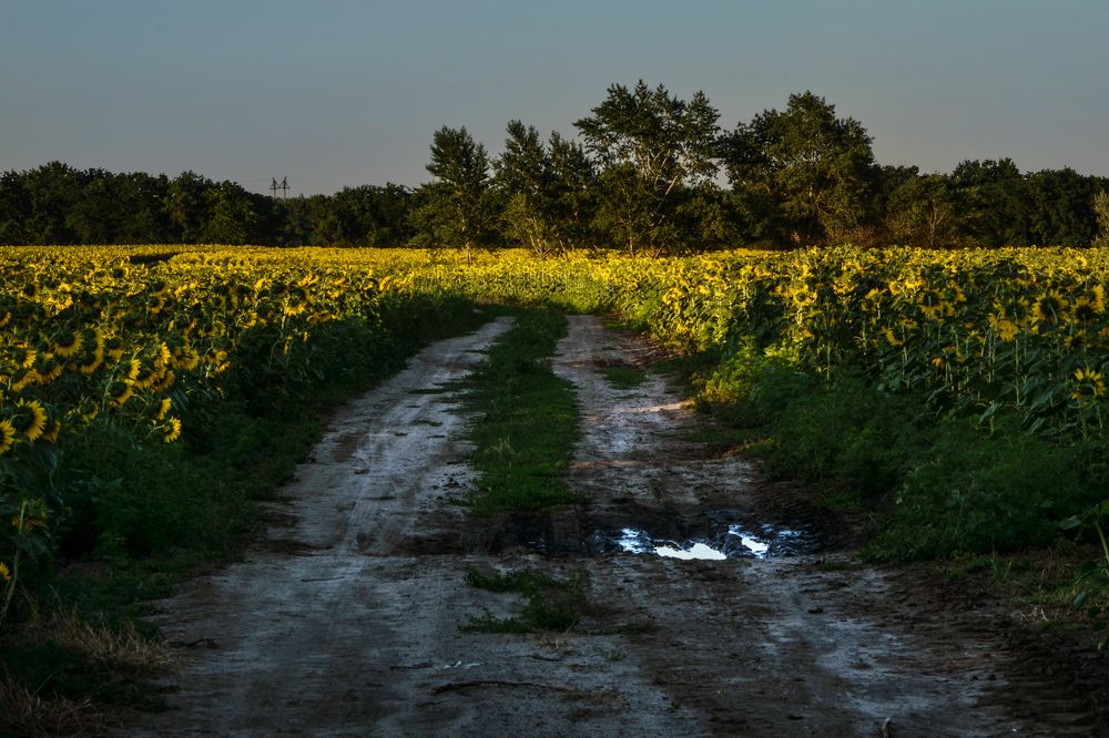 Photograph by Inna Logvinova