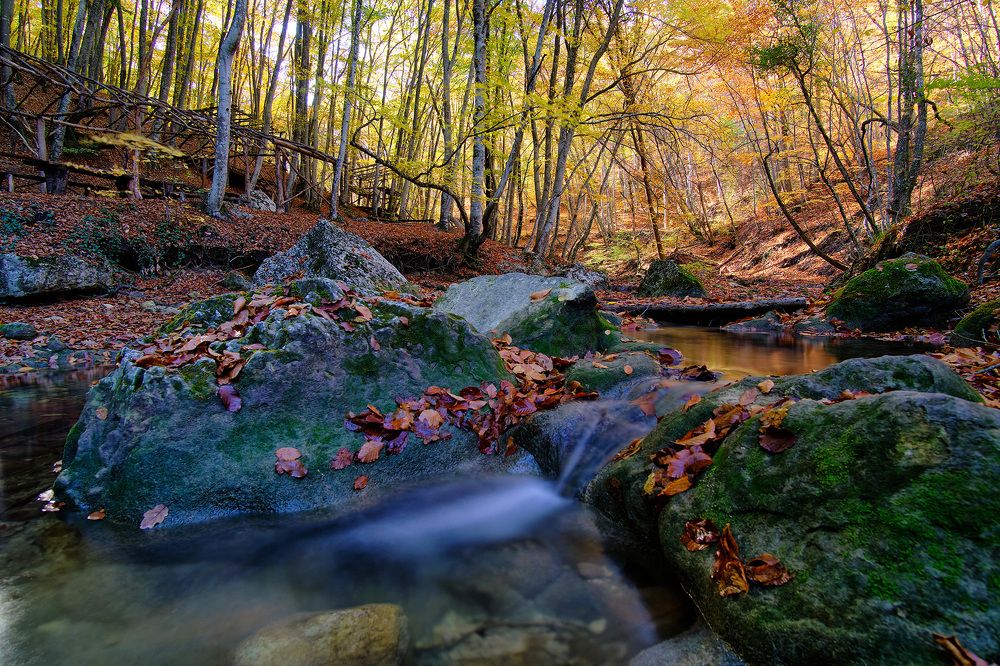 Photograph by Станислав Дроздов