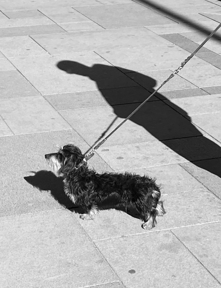 Photograph by Косяченко Светлана