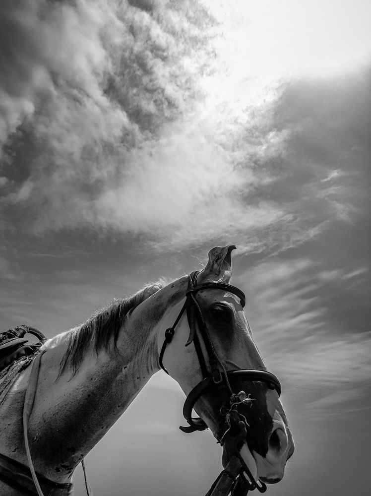 Photograph by Mayur Charatkar