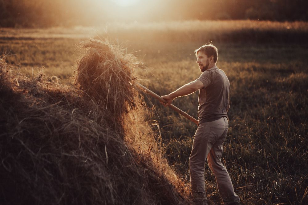 Photograph by Елена Щенина