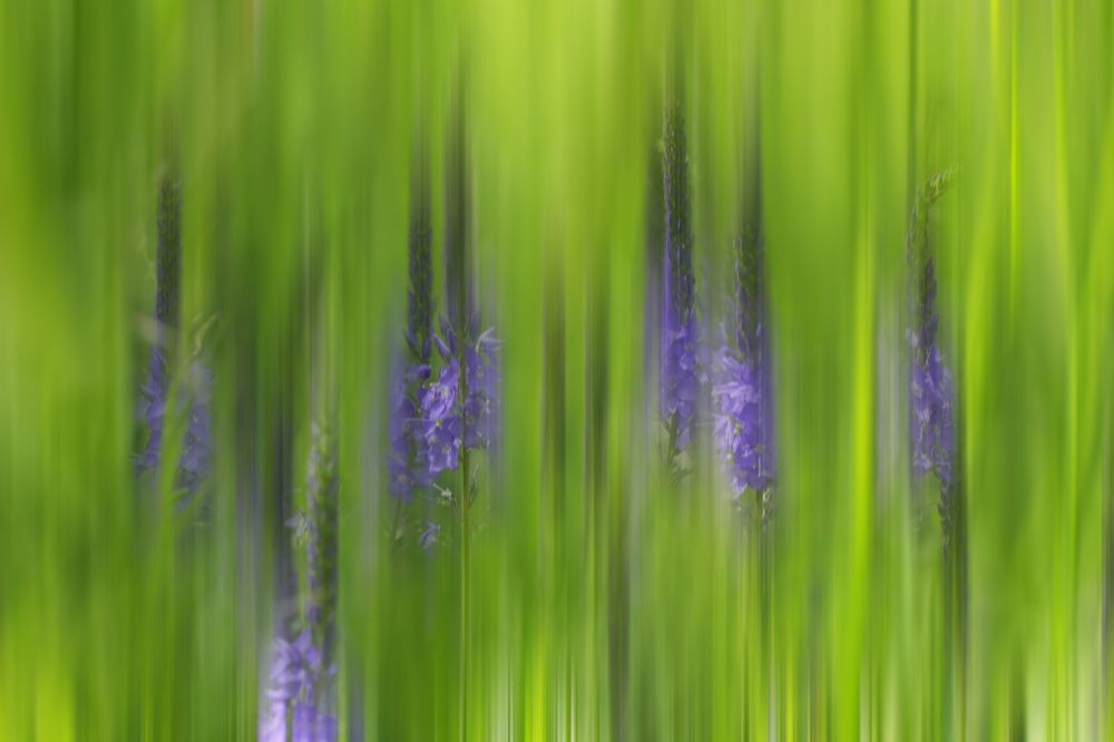 Фотография автора Олег Комарицкий