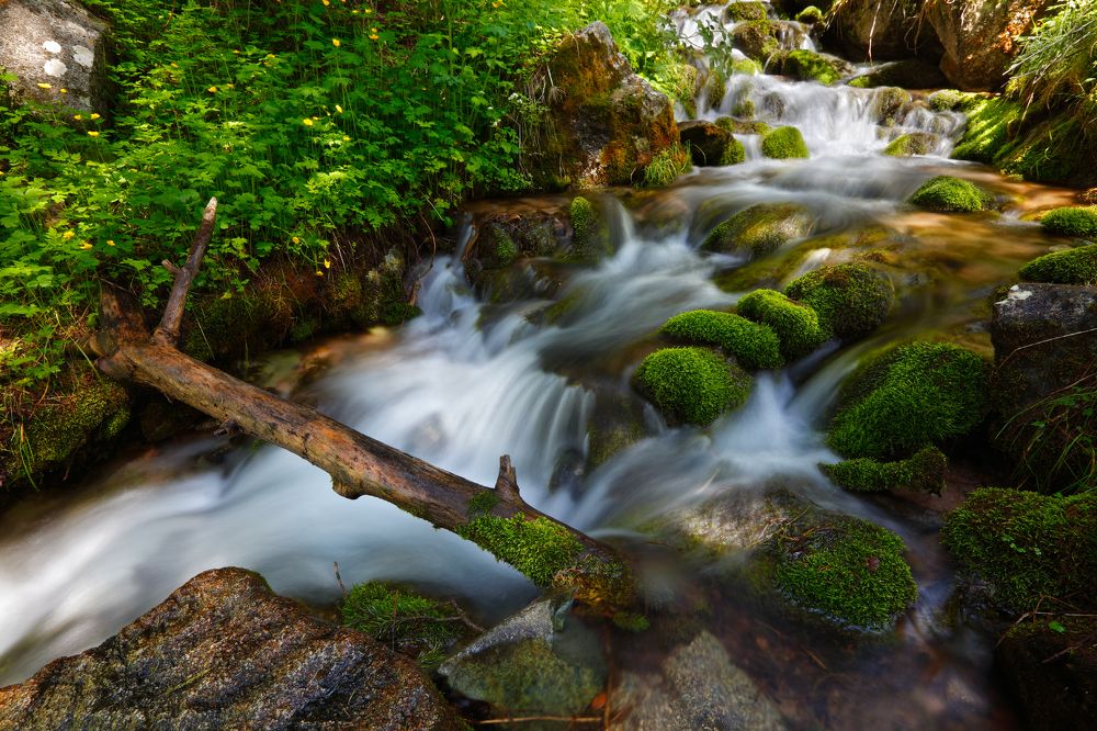 Photograph by Артем