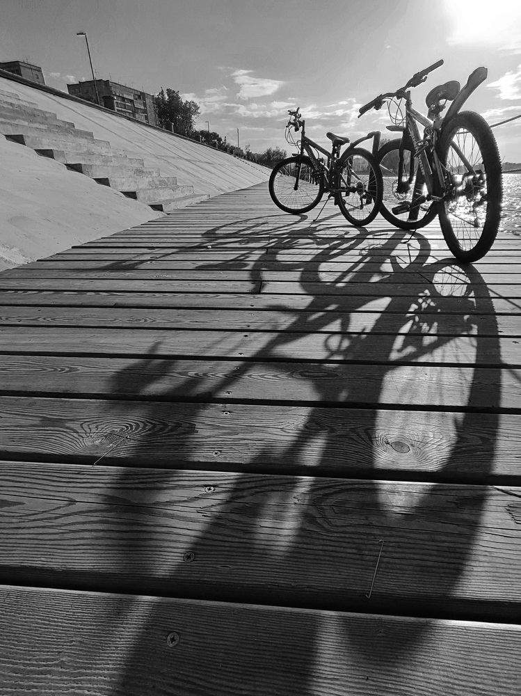 Фотография автора Регина Крикунова