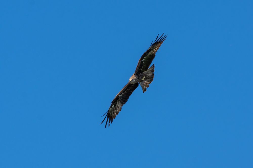 Photograph by Евгений Кузьмин