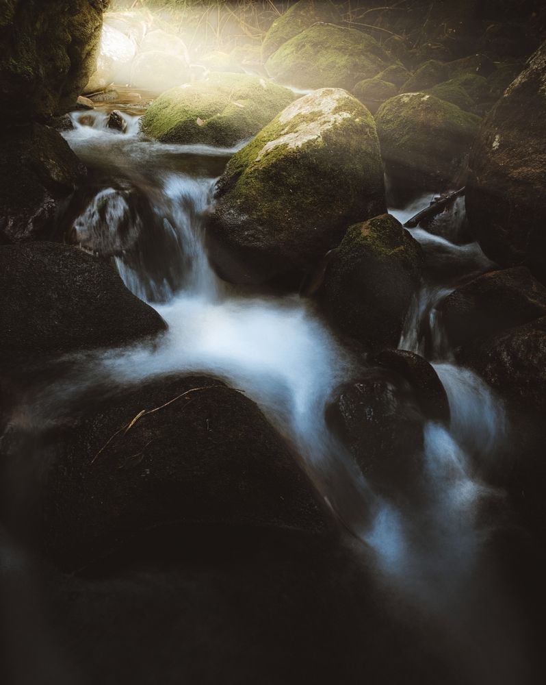 Photograph by Borges de Carvalho Allan