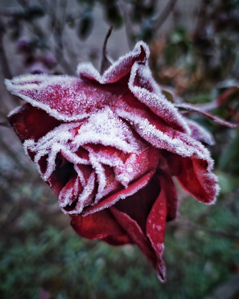 Photograph by Анна Пилипенко