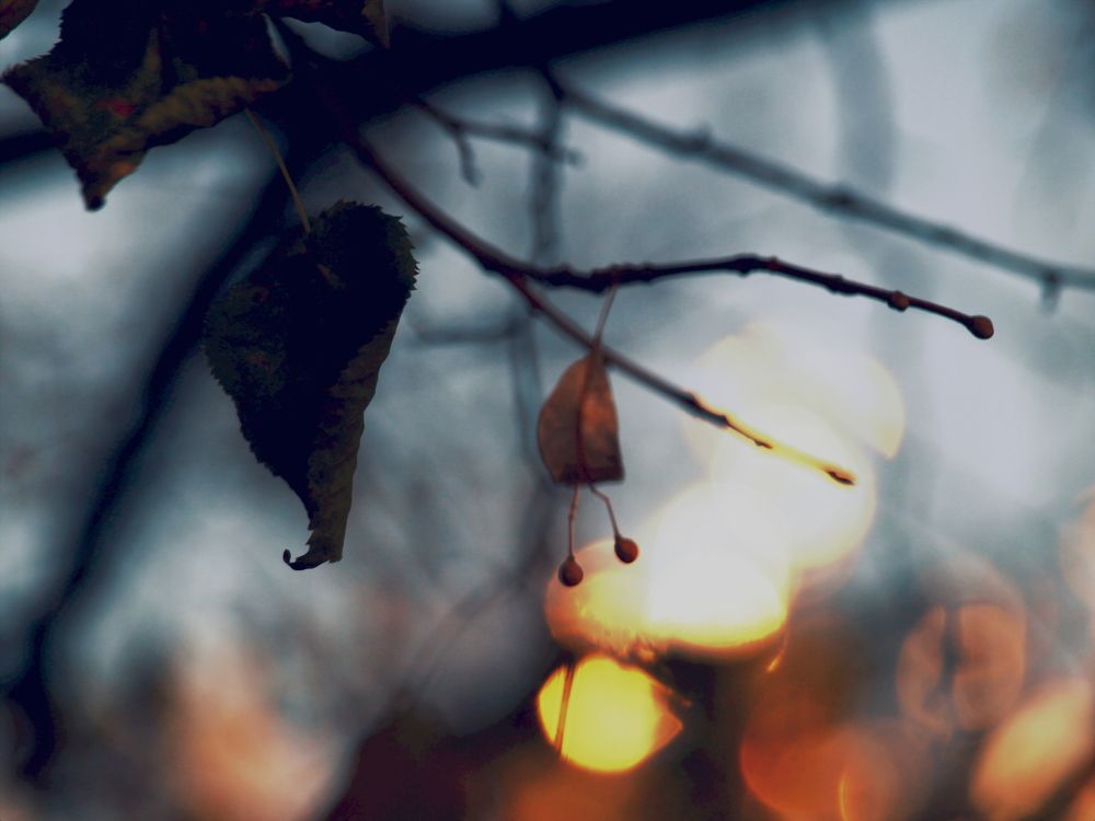 Photograph by Сергей Рябов