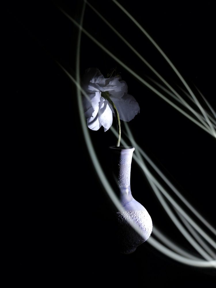 Photograph by Вета Юн