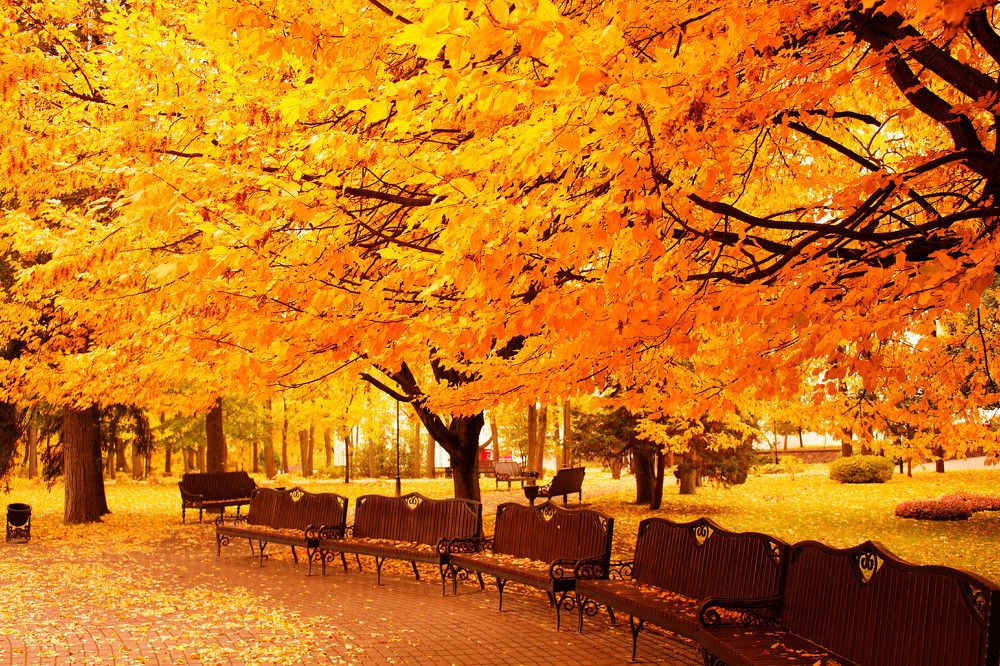 Photograph by Иван Полиненко