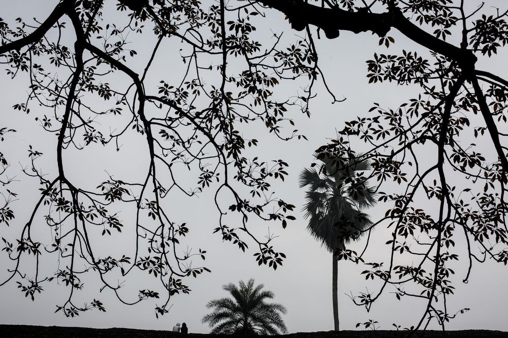 Photograph by Shaown Chowdhury