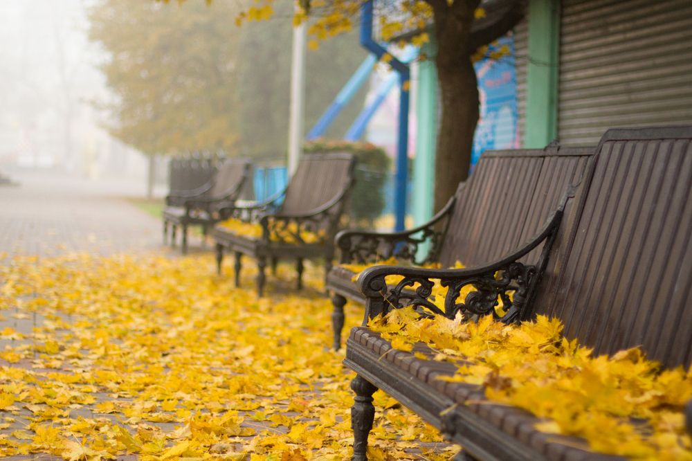 Photograph by Иван Полиненко