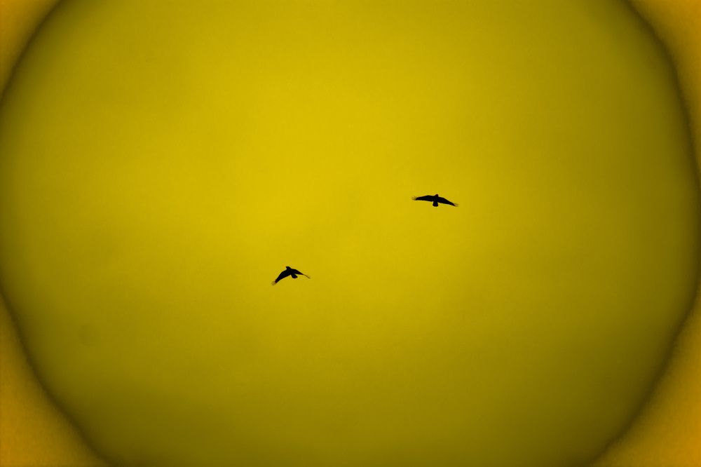 Photograph by Виктор Степанов