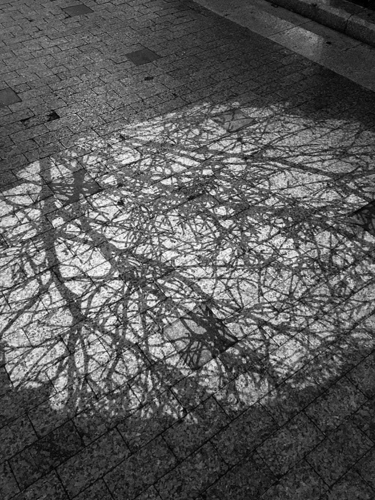 Photograph by Елена Макуха