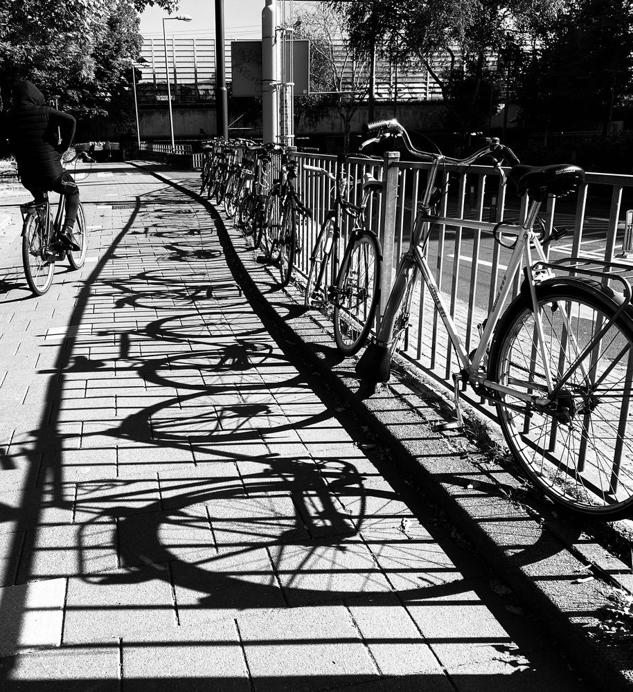 Photograph by Svetlana Kornilova