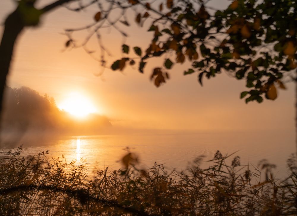 Photograph by екатерина Толстоусова